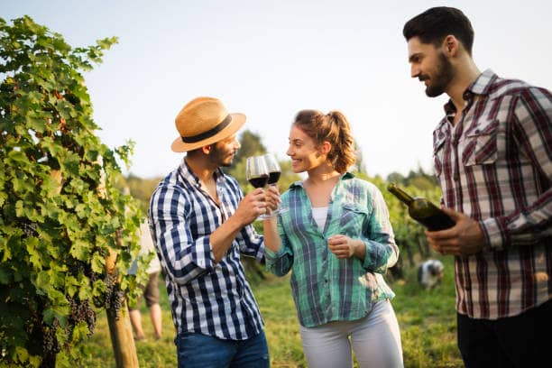 Wine Tasting in Margaret River