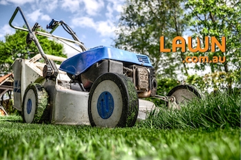 Lawn.com.au Cover Photo